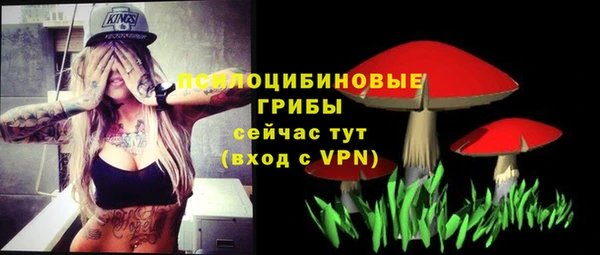 apvp Алзамай