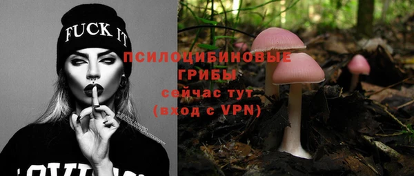 apvp Алзамай