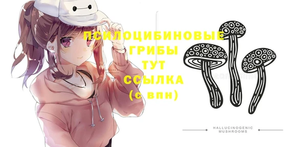 гидра Красноперекопск