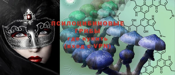 ПСИЛОЦИБИНОВЫЕ ГРИБЫ Алексеевка