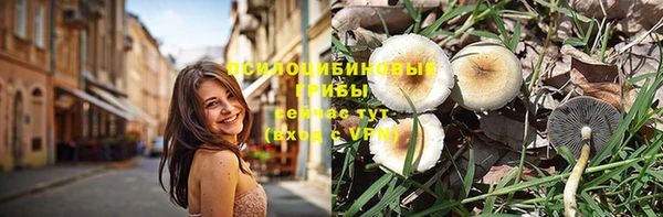 ПСИЛОЦИБИНОВЫЕ ГРИБЫ Алексеевка
