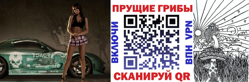 Галлюциногенные грибы Psilocybine cubensis  купить наркотик  Андреаполь 